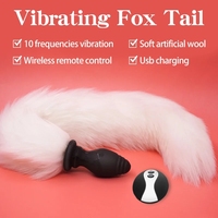 Vibrateur à télécommande, plug anal, queue de renard, jouets anaux, masseur de prostate en silicone, jouet sexuel pour couple, homme et femme
