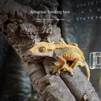 Terrarium pour reptiles transparent de qualité supérieure, habitat en acrylique spacieux avec couvercle ventilé, écologique et durable pour les reptiles