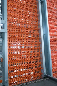 Cage à poulets automatique avec système <span class=keywords><strong>de</strong></span> roulement des œufs et mangeoire automatique pour poulets, entièrement automatique - Product Image 6