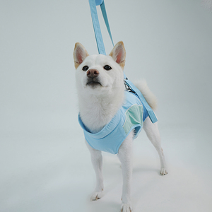 Sac à dos multifonctionnel pour animaux de compagnie Dafeel avec poignée et laisse de traction, veste de transport pour chien personnalisable pour l'extérieur - Product Image 3