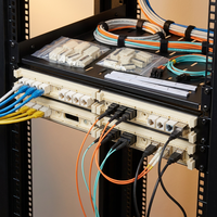 Panel de Conexiones Cat5E de 1U y 19 Pulgadas, Tipo 110, para Distribución de Voz y Teléfono, con 110 Bloques de Conexión, Tiras de Etiquetas y Caja para Montaje en Rack CNTA