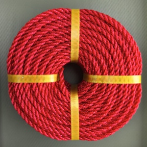 Chimiao Chất lượng cao xoắn <span class=keywords><strong>PE</strong></span> dây thừng 4mm 5mm 6mm 8mm 10mm Nylon Dây bền và linh hoạt với cường độ cao - Product Image 1