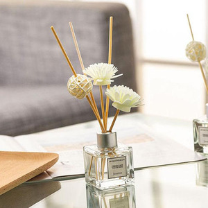 2025 Idea de regalo del Día de San Valentín directo de fábrica 50ml vidrio para botella difusora de caña aromaterapia aceite esencial vial forma líquida - Product Image 1