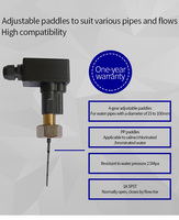 Interrupteur de débit à palette ULTIMHEAT avec boîtier, raccord en laiton nickelé, écrou 3/4 BSPP, interrupteur magnétique 1A, plastique IP65 250V