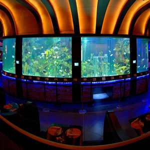 Visornes — <span class=keywords><strong>aquarium</strong></span> acrylique de grande taille, animaux à vendre, 30 ans - Product Image 4