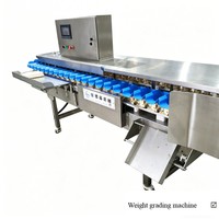 Automatische aardbeien- en citrus sorteermachine voor fruitverwerkingsbedrijven