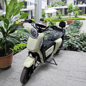 Motocicleta Eléctrica de Dos Plazas con Velocidad Máxima de 60V, Bicicleta Eléctrica con Pedal - Product Image 1