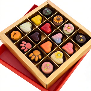 Cioccolatini Ripieni al Cioccolato Fondente, Cioccolato Artigianale Francese all'Ingrosso, Bonbon Colorati di Varie Forme, Regalo di Lusso - Product Image 1