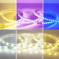Guirlandes lumineuses LED intelligentes haute tension pour extérieur, double rangée, triple rangée, étanches 12 mm IP65, tricolores