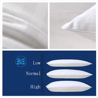 Oreiller de luxe respirant en coton pour hôtel et maison, lavable, doux et chaud, avec rembourrage en polyester, taille Queen, vente en gros
