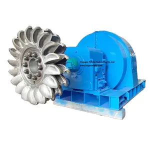 Petit kit de générateur de turbine hydraulique de roue de l'eau de Pelton 300KW pour l'usage à la maison