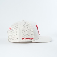 Casquette de baseball structurée personnalisée de haute qualité, vente en gros, casquettes de golf 5 panneaux en tissu polyester imperméable avec trous perforés