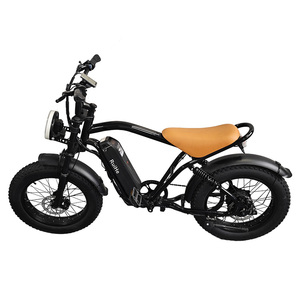 Ruihe Y8 Bicicleta de ciudad eléctrica para hombre con neumático grueso de 20 pulgadas Nuevo diseño 48V Ebike Marco de acero Fuente de alimentación de batería de litio - Product Image 5