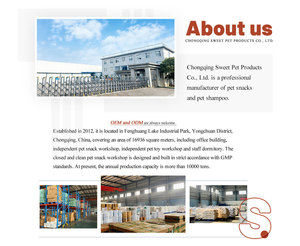 Champú y Acondicionador para Mascotas OEM, Gel de Ducha Todo en Uno para Gatos, Jabón para Ducha de Mascotas, Champú Suave para Perros, Gel de Baño - Product Image 3