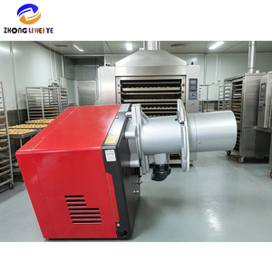 Chaudière universelle à eau chaude/vapeur 230V à brûleur à gaz FS10 de Chine, 100 000 Kcal, à simple étage, avec contrôle de la flamme, vente en gros - Product Image 3