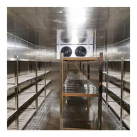 Sistemas de Cámaras Frigoríficas para Mataderos y Procesamiento de Carne, Soluciones de Almacenamiento en Frío para Plantas de Procesamiento de Carne, Almacén Refrigerado
