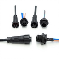 Connecteur étanche M12 2/4 broches avec verrouillage, borne de panneau, pour véhicule électrique, purificateur d'eau, prise mâle/femelle