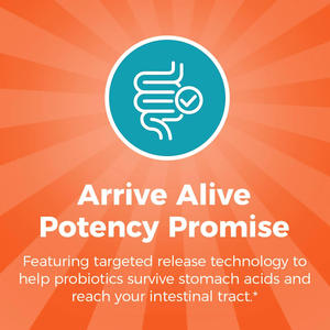 OEM/ODM equilibrio intestinale probiotici 50 miliardi di donne CFU probiotici quotidiano per la salute intestinale supporto completo cura femminile - Product Image 3