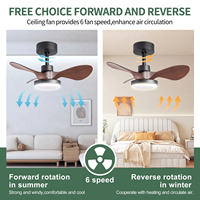 Ventilador de Techo Pequeño de 36 Pulgadas con Luz LED Regulable CCT, Silencioso para Dormitorio y Cocina