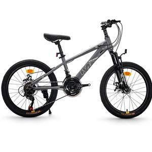 <span class=keywords><strong>Bicicleta</strong></span> de Montaña para Niños de 21 Velocidades, 20 Pulgadas, Frenos de Disco, Suspensión Delantera, 5 Colores, Pedido de Muestra de Fábrica OEM - Product Image 1