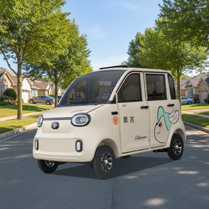 <span class=keywords><strong>2026</strong></span>款电动低速车，配备1000W电机，定制电池，适合个人家庭使用 - Product Image 2