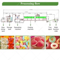 Gummy Bear Freely Vente Amidon végétal Vitamine Gelée Bonbons sucrés Ligne de production de machine De Bonbon en Chine