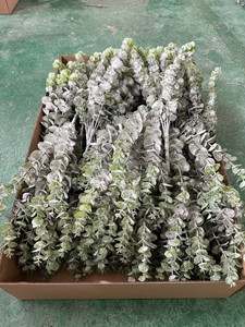 Hierba del Dinero de Plástico Verde Polvoriento de 78 cm (Eucalipto, Desmodium, Lysimachia) para el Hogar, Regalos de Navidad, Funerales y Decoración de Tumbas - Product Image 6