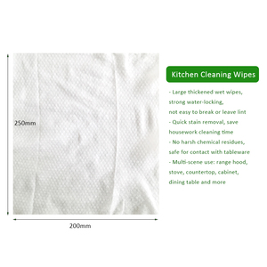 Salviette per Pulizia Cucina OEM Multiuso, Formato Grande 200x250mm, Salviette Umidificate Monouso per Pulizia Superfici, Limone e Olio di Cocco, Confezione da 100 - Product Image 5