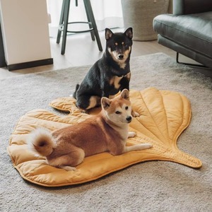 Reizen Camping Wandelen Vierkante Vorm Ontwerp Hond Kalmerende Koeling Waterdichte Opvouwbare Zachte Slaap Draagbare Hondenbedmat - Product Image 2