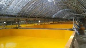 Pintura de poliurea de dos partes para estanque de peces y camarones, revestimiento impermeable - Product Image 4