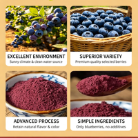 Poudre de Myrtille Naturelle - 100% Pure, Lyophilisée, Enrichie en Vitamine C et Quercétine pour Smoothies, Pâtisseries et Aliments Santé (Sachet)