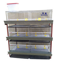 Élevage de volaille design pour élevage de jour, cage de montage pour élevage des poules