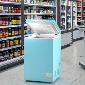 Congélateurs <span class=keywords><strong>Coffre</strong></span> Commerciaux Industriels 100L 200L 150L Alimentés par Courant Alternatif – Mini Congélateurs à Crème Glacée et Équipements de Réfrigération pour le Stockage - Product Image 4
