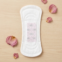 Serviettes hygiéniques jetables personnalisées hypoallergéniques de 155 mm avec noyau en graphène pour l'hygiène quotidienne féminine et protège-slips – Vente en gros