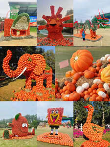 Luz Decorativa <span class=keywords><strong>de</strong></span> Halloween para Exteriores, Temática <span class=keywords><strong>de</strong></span> Parque <span class=keywords><strong>de</strong></span> Atracciones, Espectáculo <span class=keywords><strong>de</strong></span> <span class=keywords><strong>Caza</strong></span>, Exhibición al Aire Libre, Motivo <span class=keywords><strong>de</strong></span> <span class=keywords><strong>Calabaza</strong></span> 3D - Product Image 2