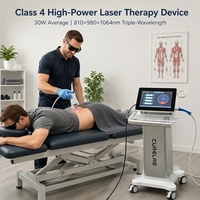 Appareil de thérapie laser portable de classe 4 haute puissance pour la physiothérapie humaine, équine et vétérinaire des petits animaux
