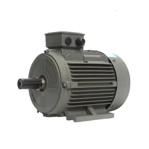 45kw 55kw 75kw 90kw High Efficiency 380V 3000rpm PMAC 200Hz Variable Frequency VFD Ev Car Motor