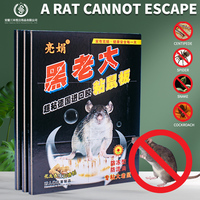 Échantillon gratuit de l'usine directe de Chine Tableau collant pour souris antiparasitaire Piège à colle pour souris rat avec parfum d'arachide