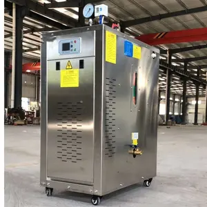 Fast Heating Small Stainless Steel 6KW 12KW 18KW Electric Steam Generator