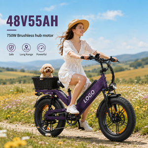 Large Capacity <b>Electric</b> Road Bike 48V 55AH <b>Electric</b> Fat Tire <b>Electric</b> City Bike 7 Speed 20-Inch Alloy Fatbike D55 20inch Fatbike - Product Image 1