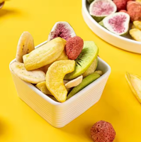 Fruits Lyophilisés en Mélange, Conditionnement en Vrac, Snacks Sains pour la Pâtisserie, avec Préservation FD
