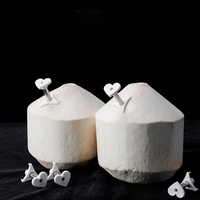 Gloway Kokosnoot Gat Opener Keuken Gadget Voor Het Openen Van Fruit En Groente Gereedschap Plastic Stro Gat Open Tool