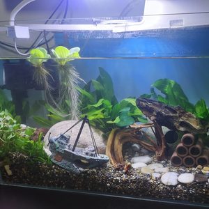 Tanque de peces Aquascape resina barco acuario decoración suministros medio naufragio pecera decoración escondite cueva - Product Image 1