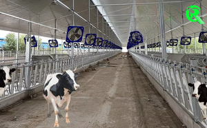 ที่หนีบคอสำหรับเลี้ยงวัวแบบปรับได้เสาโคชุบสังกะสีสเตนชิออนแบบเปิดคู่เดี่ยว - Product Image 6