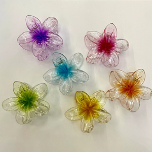 إكسسوارات الشعر الجميلة HAC - 021 - Product Image 1