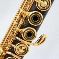 High Quality Flute Professional Ebony Wood Flute Instrument with Gold Plated Keys Flute