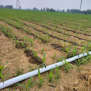 Système d'irrigation <span class=keywords><strong>goutte</strong></span> à <span class=keywords><strong>goutte</strong></span> <span class=keywords><strong>Tuyau</strong></span> PE Layflat <span class=keywords><strong>Tuyau</strong></span> principal <span class=keywords><strong>goutte</strong></span> à <span class=keywords><strong>goutte</strong></span> <span class=keywords><strong>Tuyau</strong></span> d'irrigation agricole avec trou préformé - Product Image 4