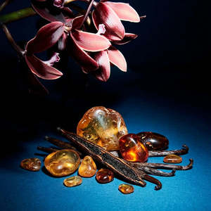 Divain Parfums 381 Profumo Orientale Unisex, Fragranza Autunnale Leggermente Dolce - Product Image 2