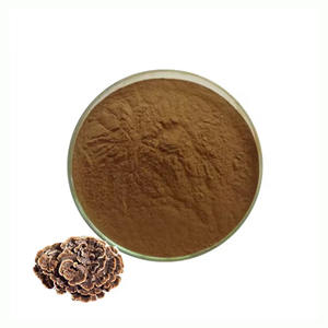 高品質食品グレードの雲芝エキス粉末（アルカロイド含有）コリウス・バーシカラー抽出物ドラム包装 - Product Image 6