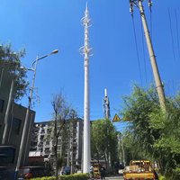 Torre de Comunicación Shenghong, Mástil de Antena para 5G/WiFi/ISP/GSM/Microondas, 15M-80M, Acero Galvanizado en Caliente, Certificado ISO9001, 50